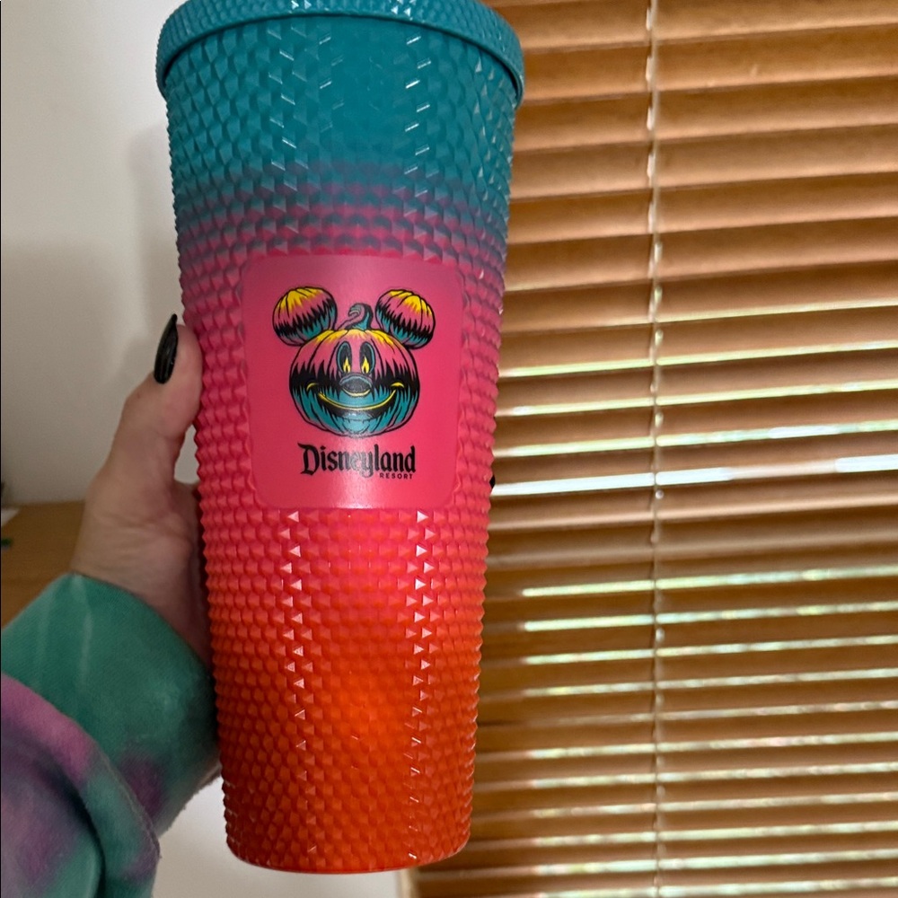 Disneyland Gradient Tumbler